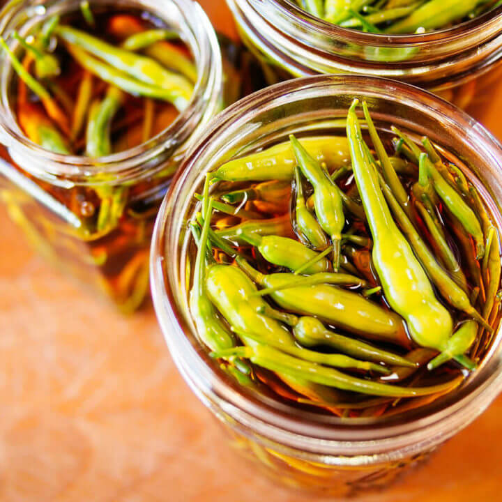 Pickled radish seed pods