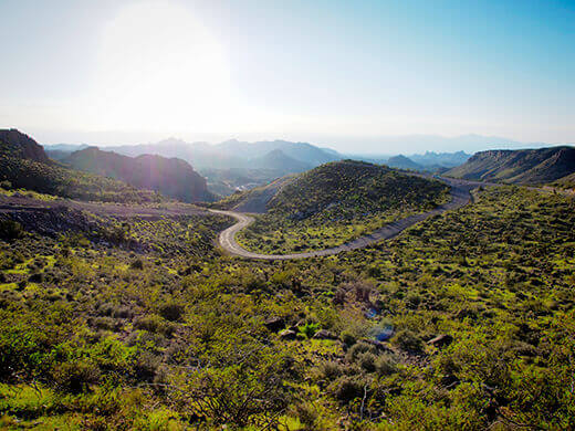 The notorious Oatman Highway