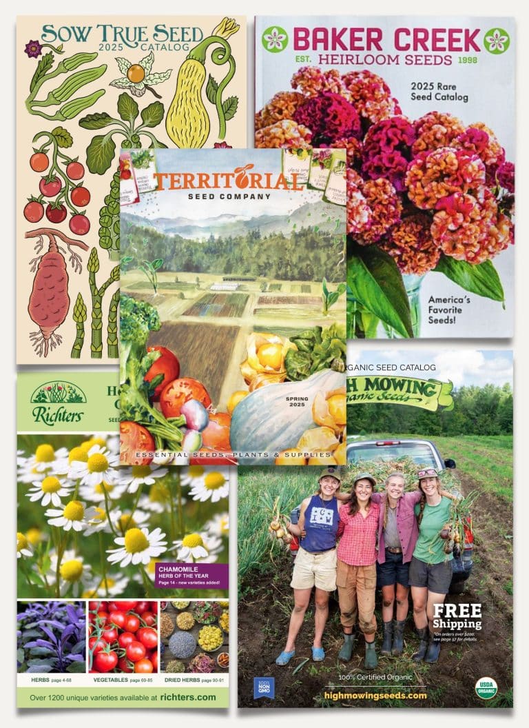 The best garden seed catalogs