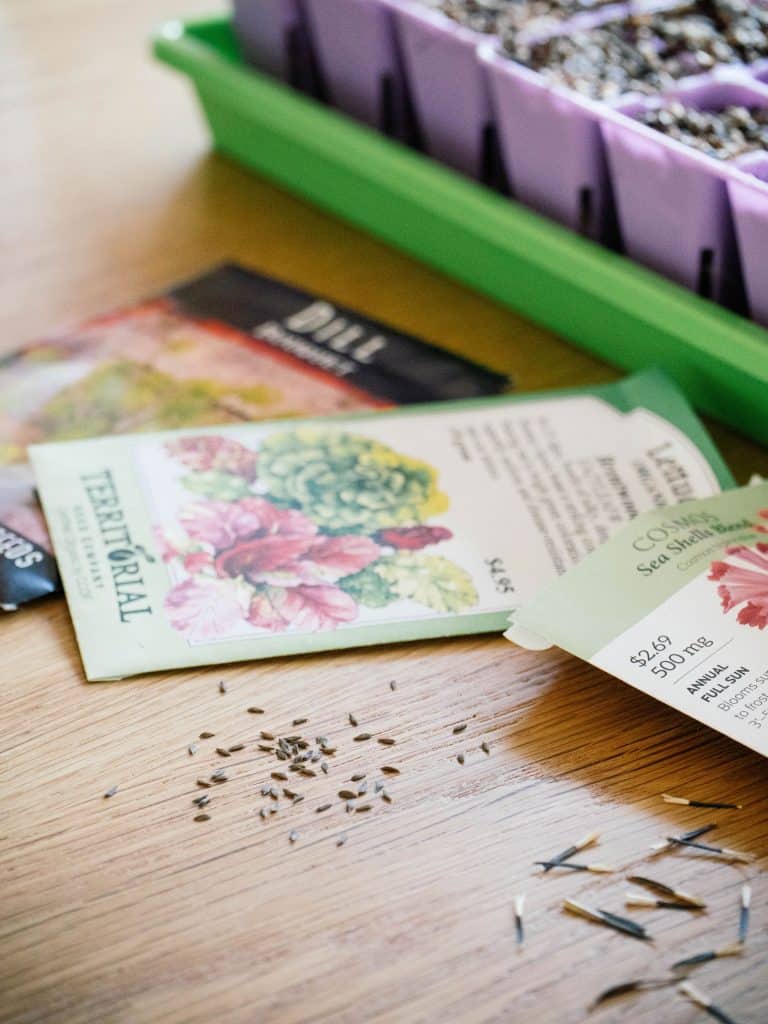 Dill, lettuce, and flower seeds on a wooden table with a seed tray in the background