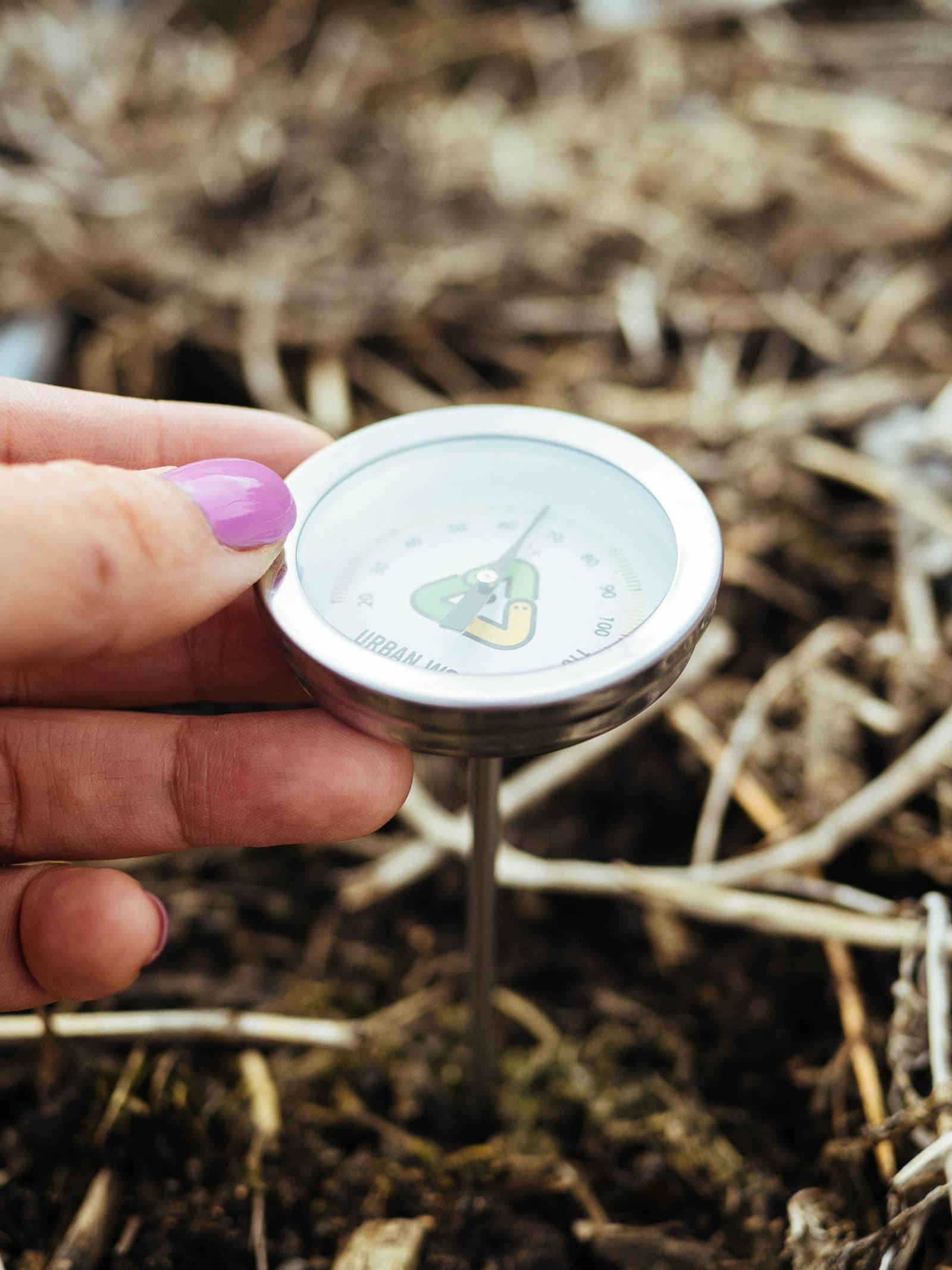 Woman's hand holding a soil thermometer in the ground